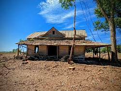 1880 Dogtrot